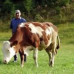 Glautschhof Affittacamere