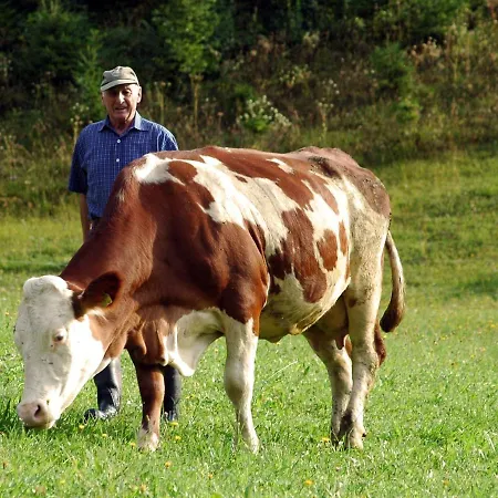 Glautschhof Gæstehus