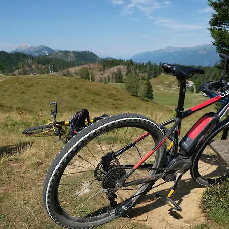 Glautschhof 3* 魏森湖