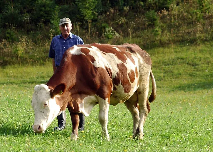 Glautschhof Affittacamere