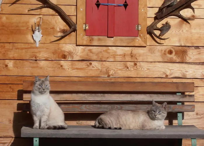 Гостевой дом Glautschhof